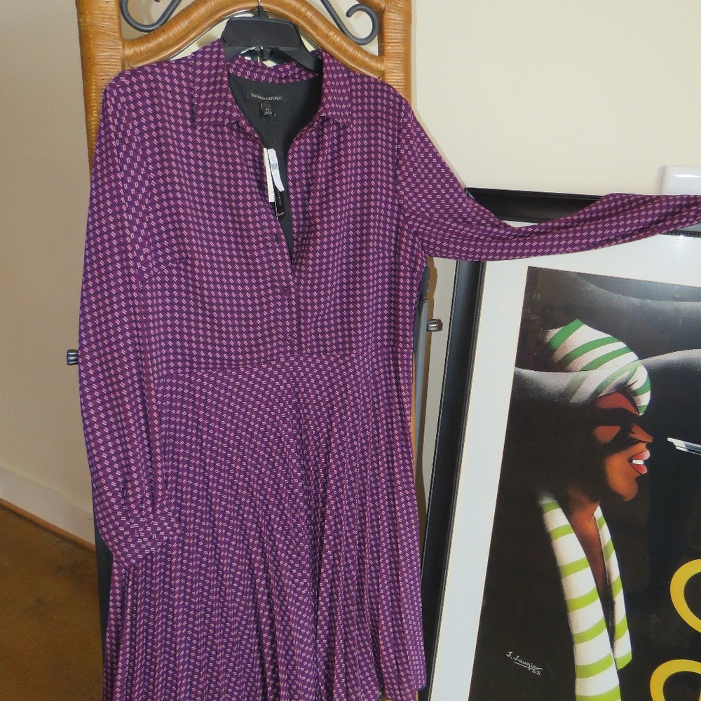 Banana Republic Flair Pleated Dress